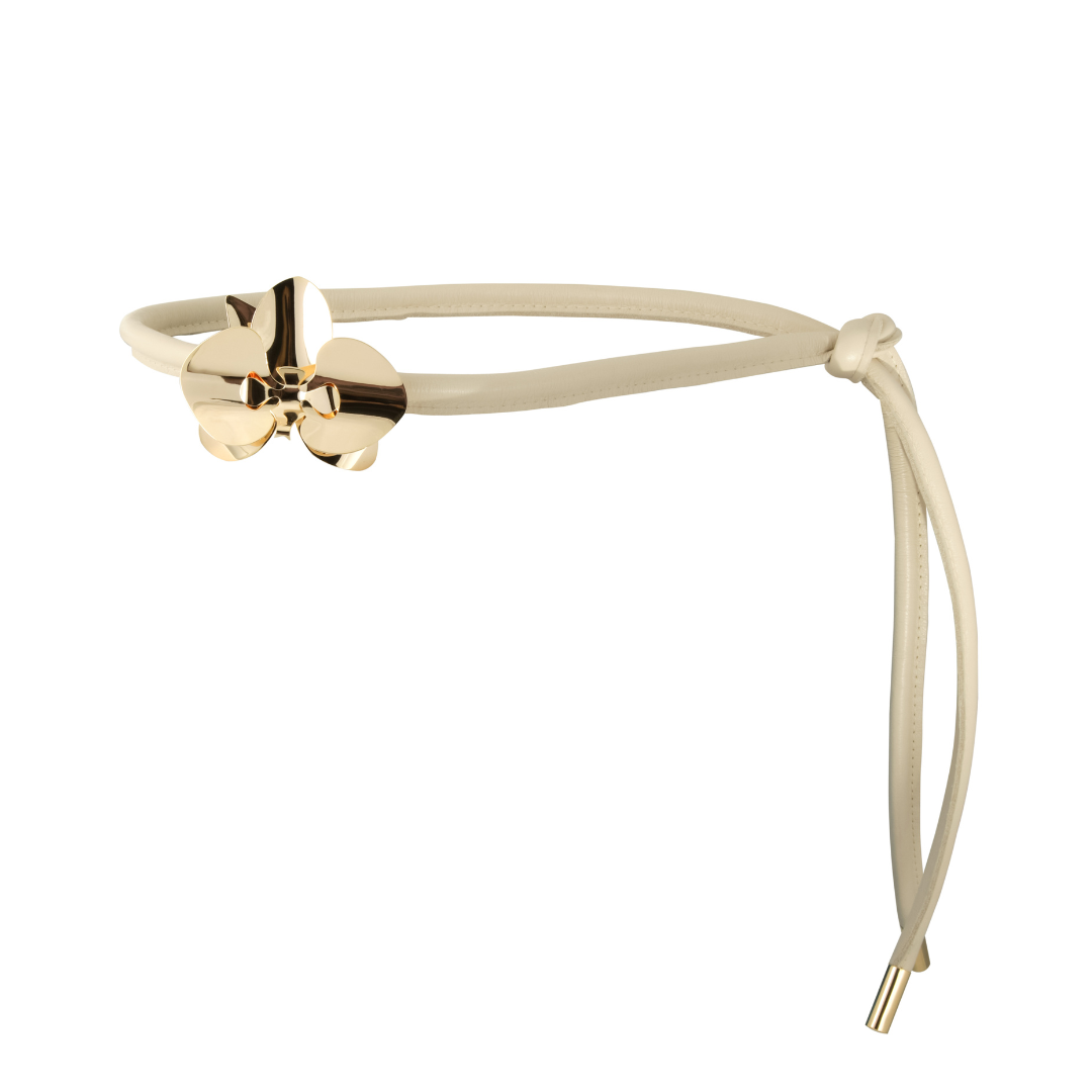 Orquídea Belt - Orquídeas Collection