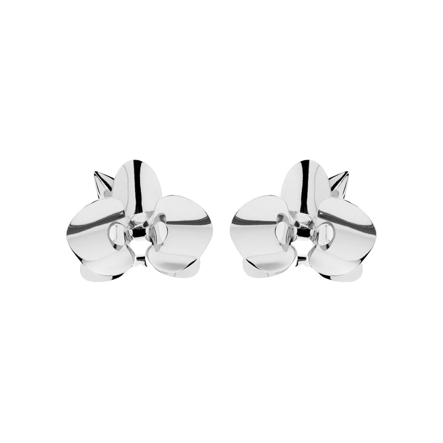 Evolua Earring - Essencial Collection