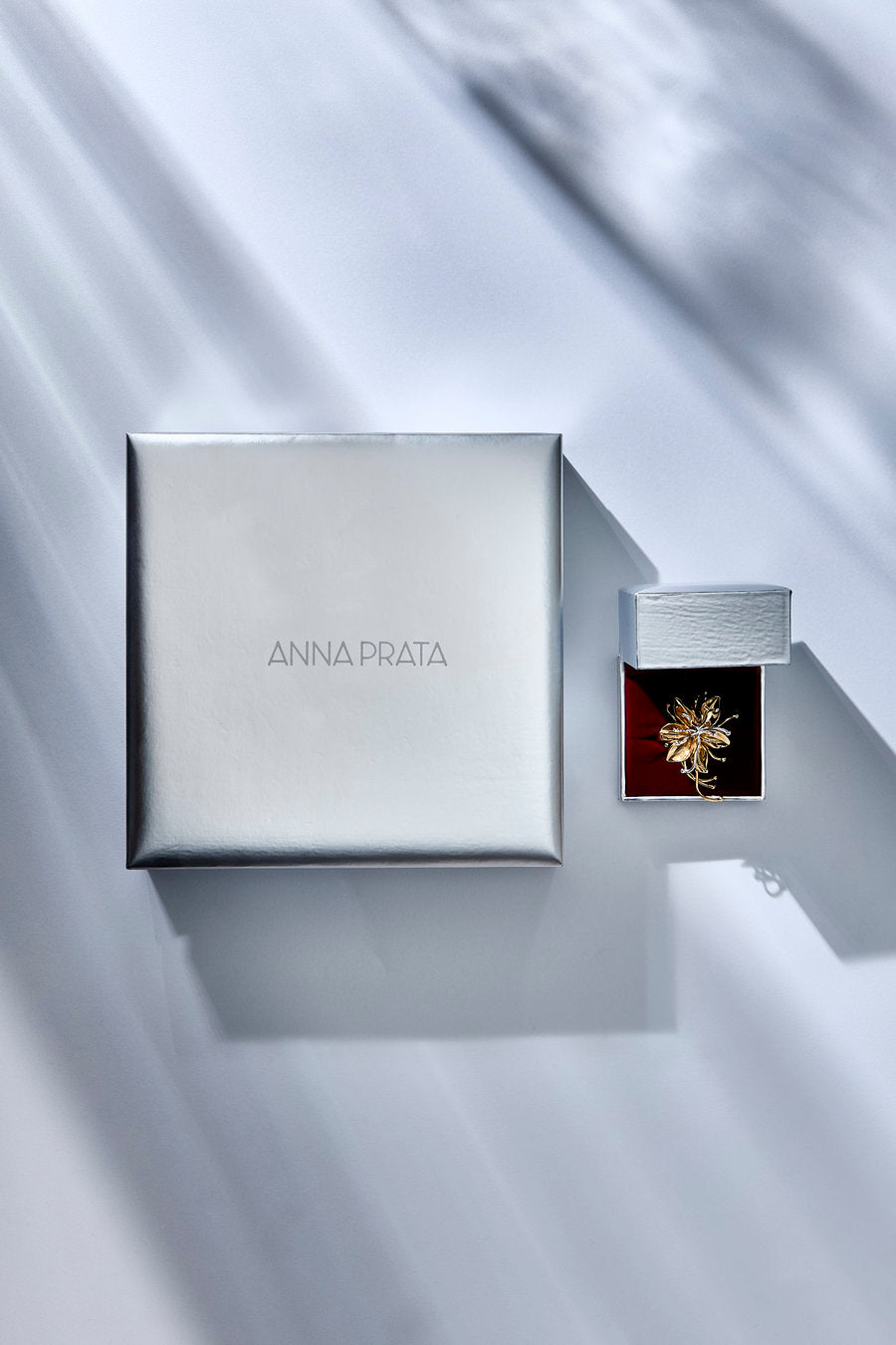Renascer Ring (Gift Box) - Década Collection