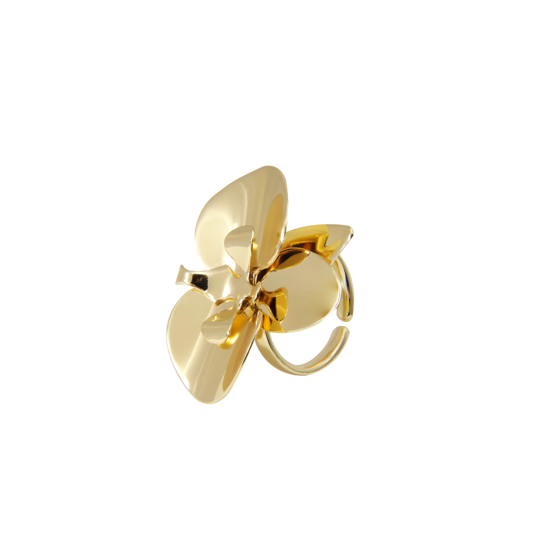 Evolua Ring - Essencial Collection