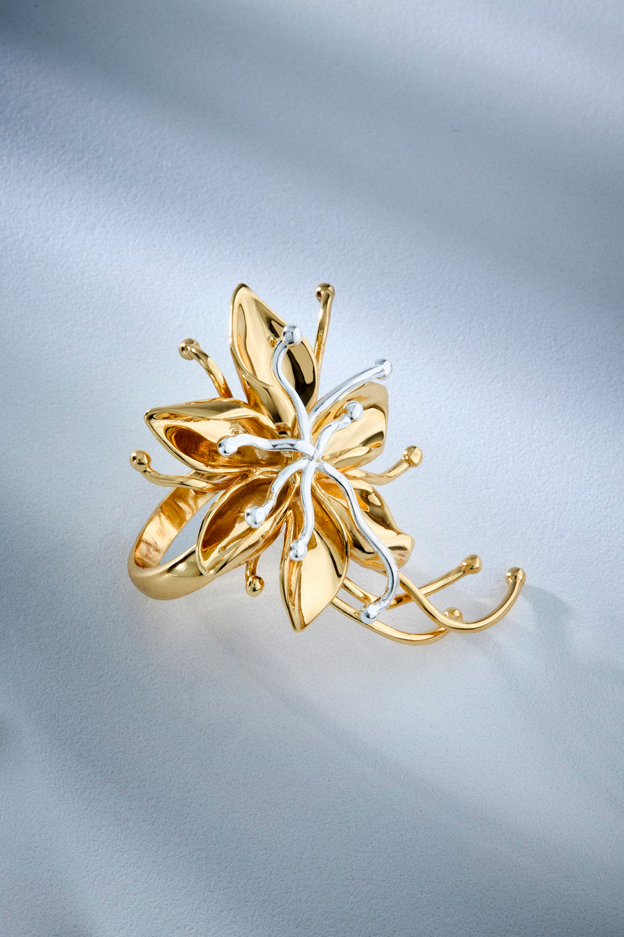Renascer Ring (Gift Box) - Década Collection