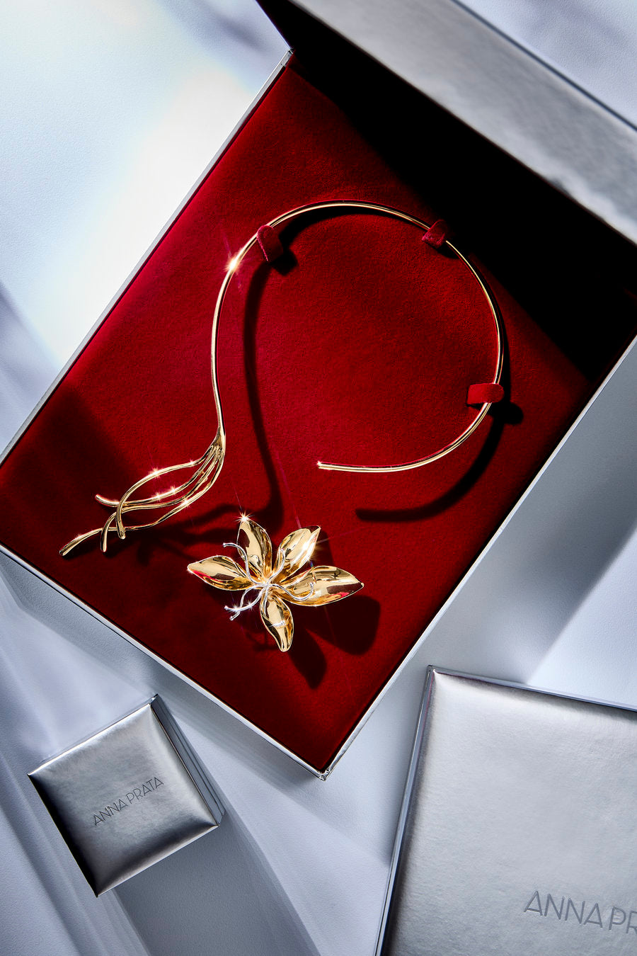Renascer Choker (Gift Box) - Década Collection